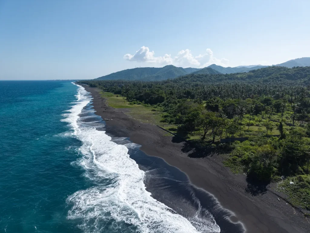 Dark-sand beach seen from above